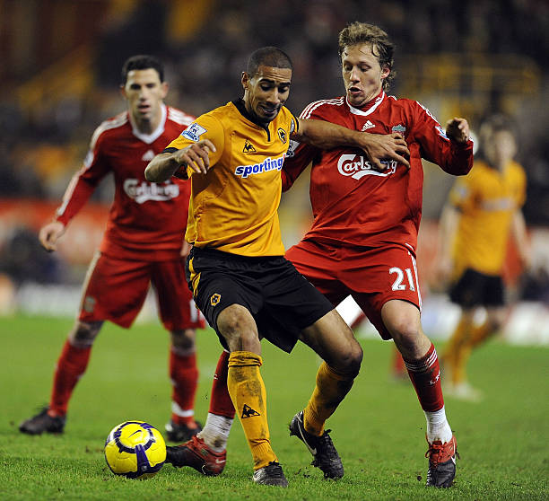 具观赏价值 具观赏价值