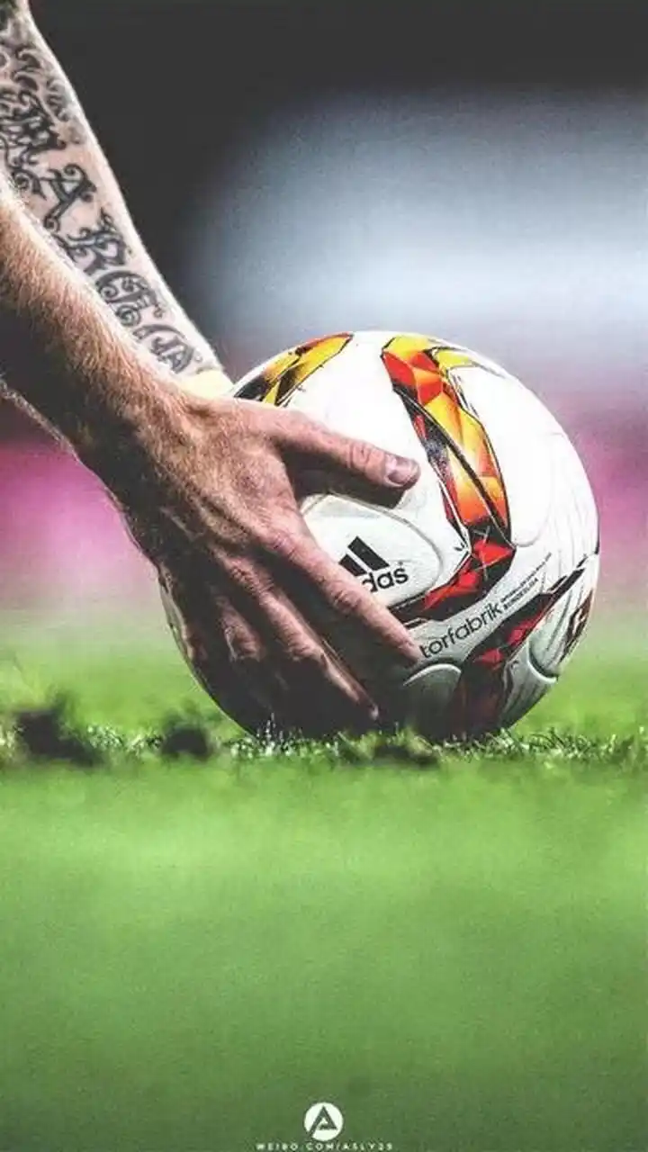 获得必要的 获得必要的