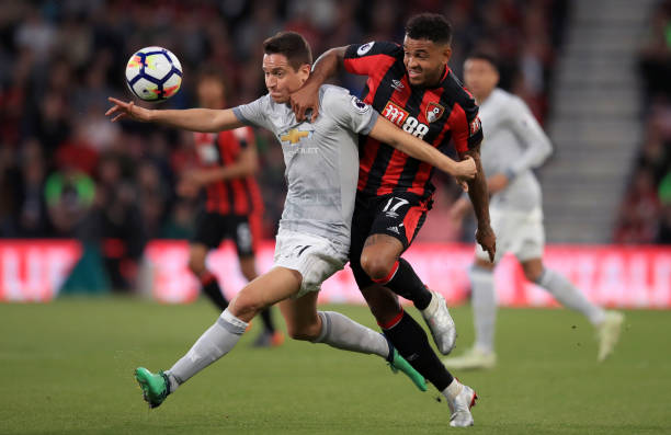 里斯表现出 里斯表现出